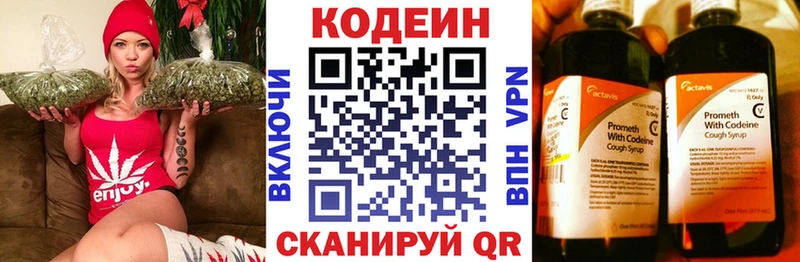 Codein напиток Lean (лин)  где найти наркотики  Александровск 