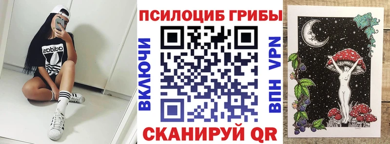 Псилоцибиновые грибы GOLDEN TEACHER  цены наркотик  кракен ССЫЛКА  Александровск 